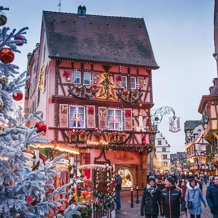 - Le Nichoir - Centre Historique - Parking Gratuit - Box Velo & Poussette 아파트 콜마