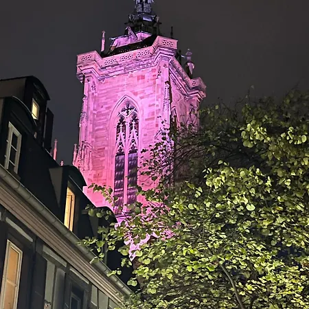 - Le Nichoir - Centre Historique - Parking Gratuit - Box Velo & Poussette * 콜마